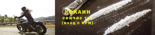 стафф Тавда