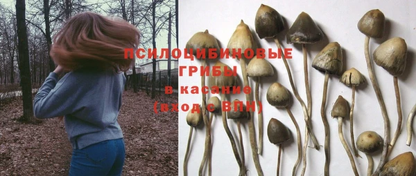 jwh Вяземский