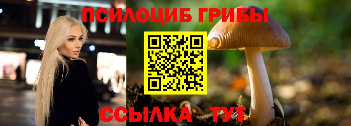 Медногорск  Галлюциногенные грибы мухоморы  Вход с VPN 